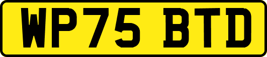 WP75BTD