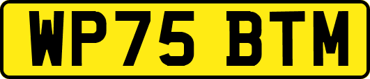 WP75BTM
