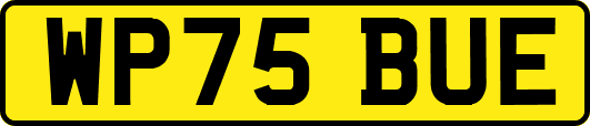 WP75BUE