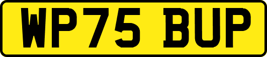WP75BUP