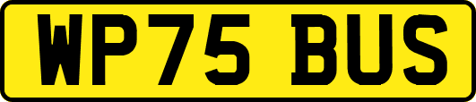 WP75BUS