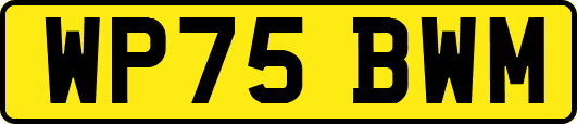 WP75BWM