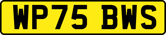 WP75BWS