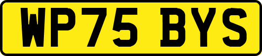 WP75BYS