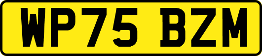WP75BZM