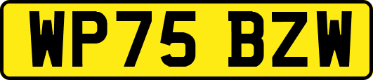 WP75BZW
