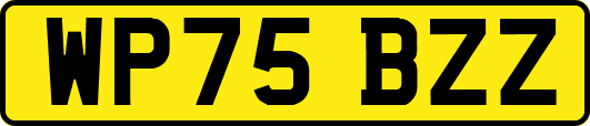 WP75BZZ