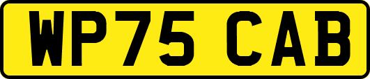 WP75CAB