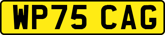 WP75CAG