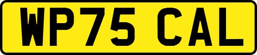 WP75CAL