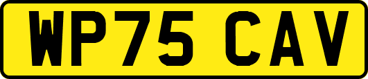 WP75CAV