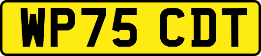 WP75CDT