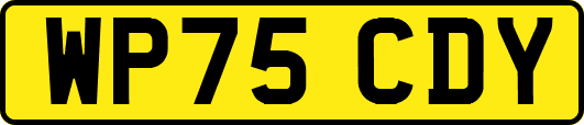 WP75CDY
