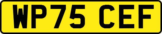 WP75CEF