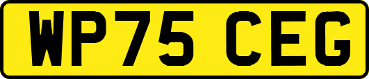 WP75CEG
