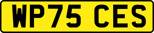 WP75CES
