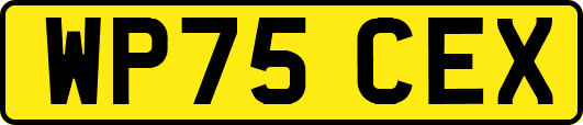 WP75CEX