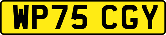 WP75CGY