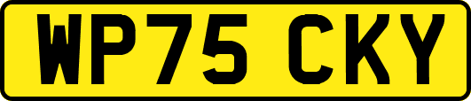 WP75CKY