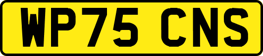 WP75CNS