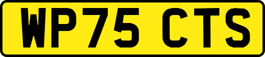 WP75CTS