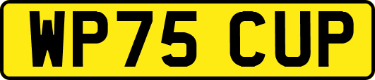 WP75CUP