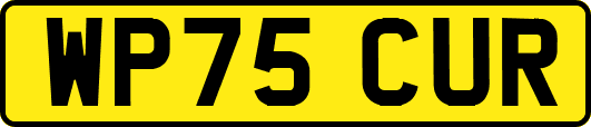 WP75CUR