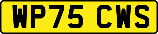 WP75CWS