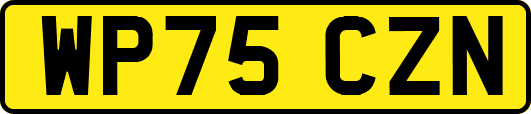WP75CZN