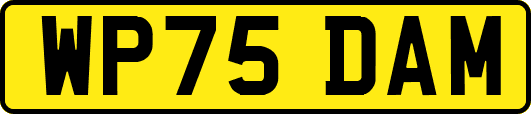 WP75DAM