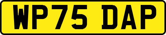 WP75DAP