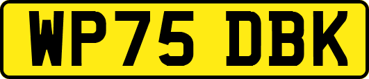 WP75DBK