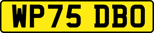 WP75DBO