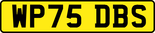 WP75DBS