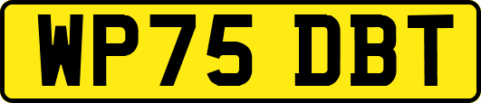 WP75DBT