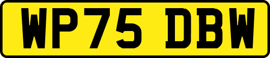 WP75DBW