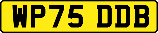 WP75DDB