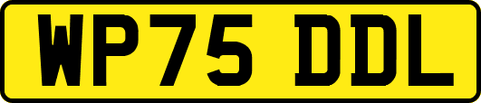 WP75DDL