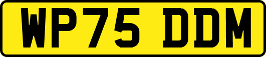 WP75DDM