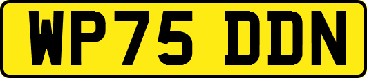 WP75DDN