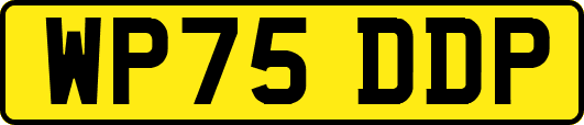 WP75DDP