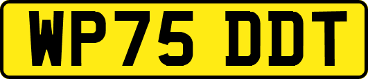WP75DDT