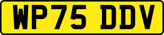 WP75DDV