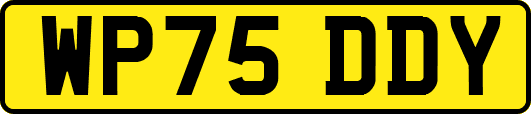 WP75DDY