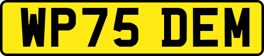 WP75DEM