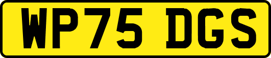 WP75DGS