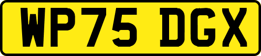WP75DGX
