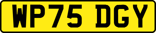 WP75DGY