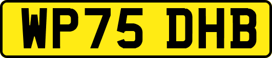 WP75DHB
