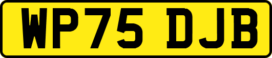 WP75DJB